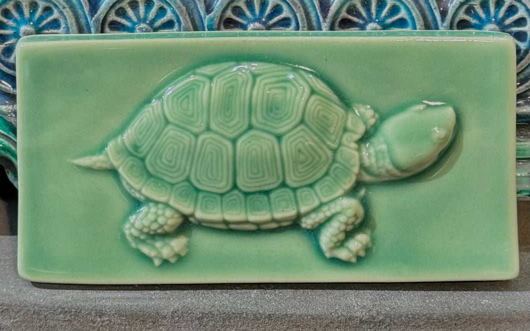Turtles