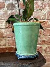 Load image into Gallery viewer, Planter or Vessel for Champagne !
