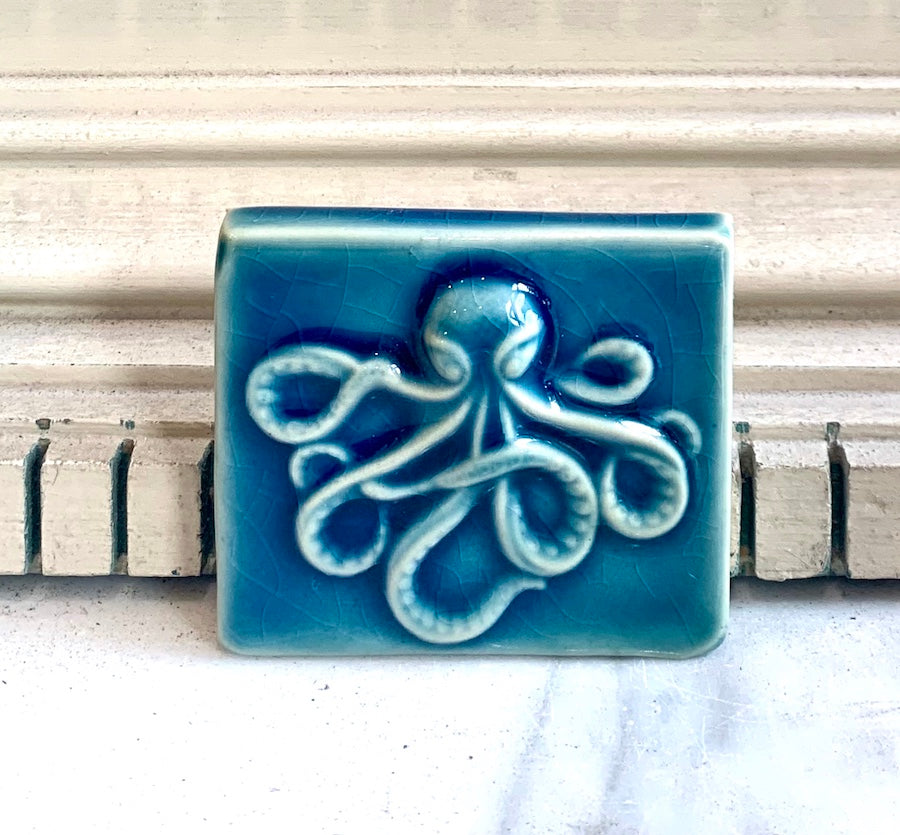 Octopus 2 x 2.5